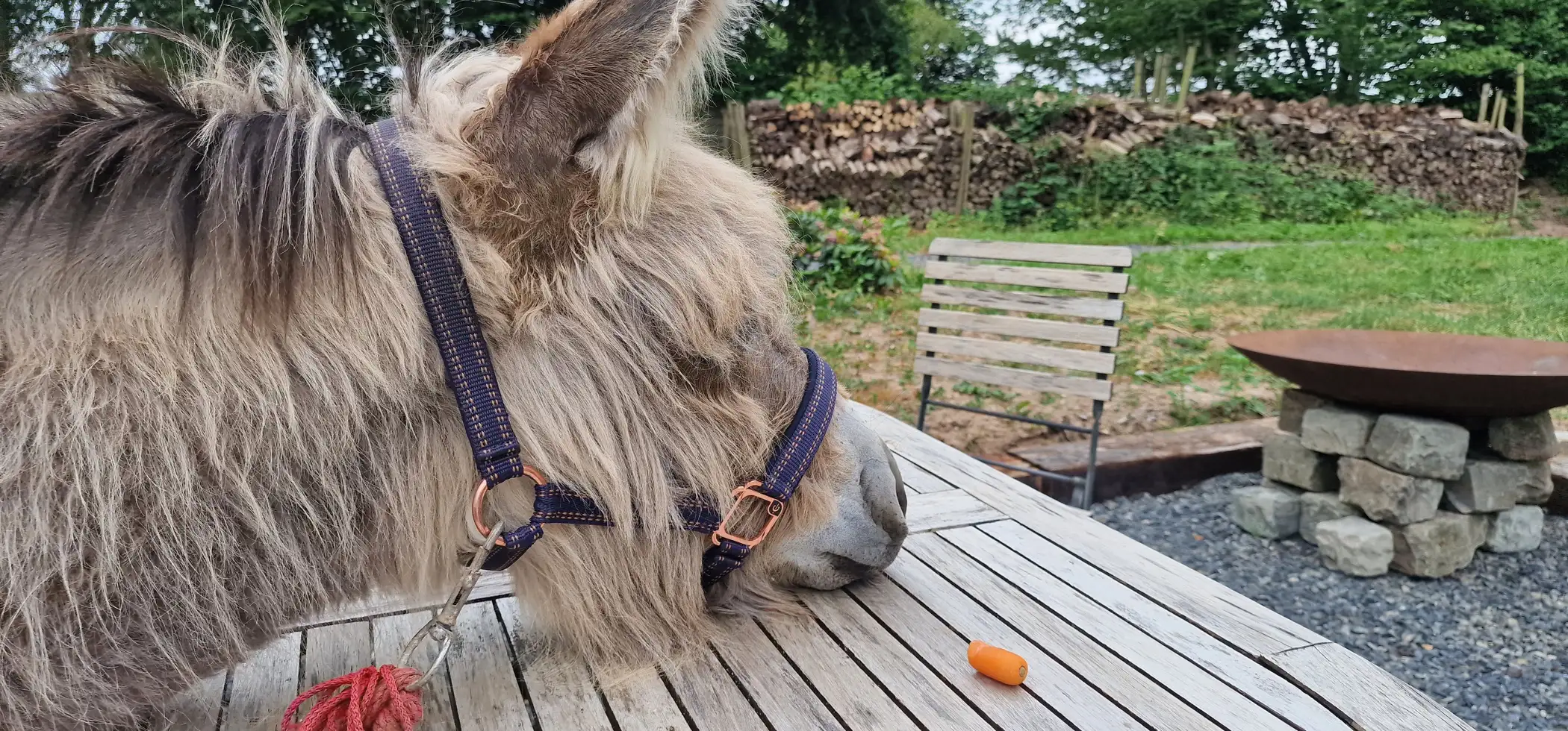 Cottage for 2 people in Gesves Les Cabanes des Pierreux : Arnold